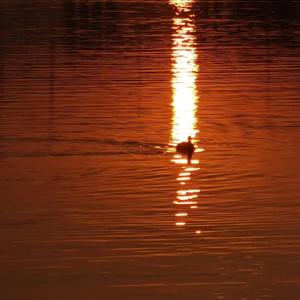 男同被❌到爽🔞软件
